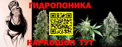 MDMA Камышлов