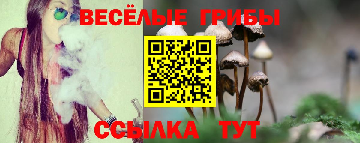 Псилоцибиновые грибы Cubensis Щёлково
