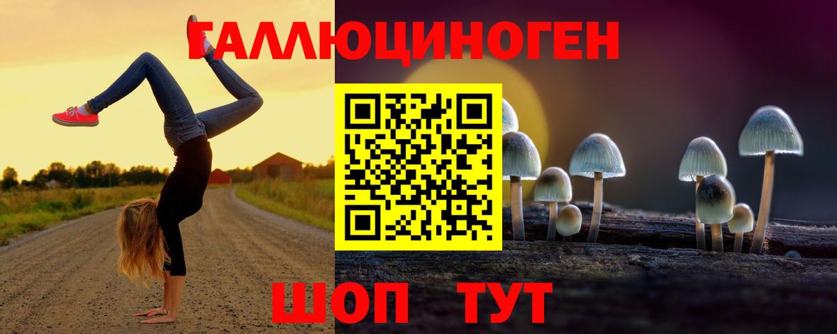 Щёлково  Галлюциногенные грибы Psilocybe  Псилоцибиновые грибы Psilocybe  Вход с VPN 